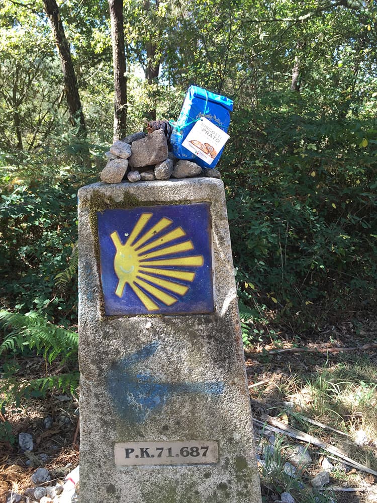 Portaci con te! Saremo ottimi compagni di viaggio!